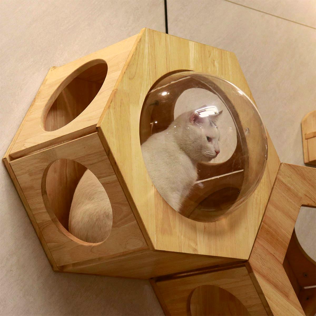 Hexagon Cat Shelf Set, Cat Wall Furniture for Large Cats