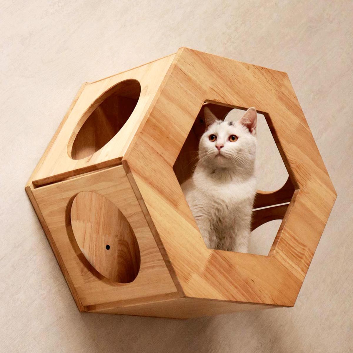 Hexagon Cat Shelves, Wall Mounted Cat Furniture | Rubber Wood