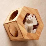 Wall Mounted Hexagon Cat Shelf Set | Rubber Wood