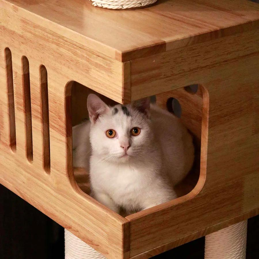 Floor to Ceiling Cat Tree | Durable Rubberwood | Stable & Safe for Multi-Cat Homes