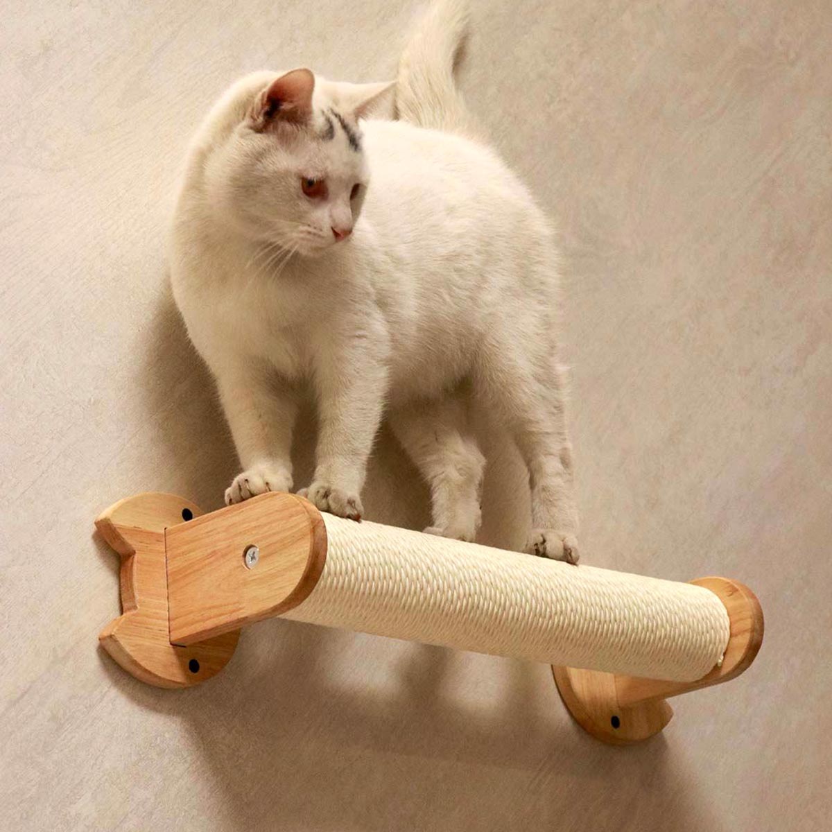 PETOMG Estantes para gatos, percha para gatos, paseos para gatos de madera de caucho | Juego de pared para gatos