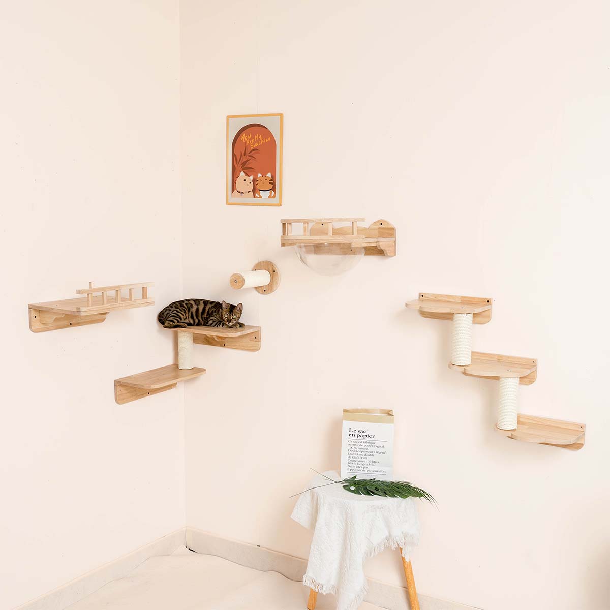 PETOMG Cat Shelves, Cat Wall Bed, DIY Cat Shelves | Cat Wall Mounted Set | Rubberwood