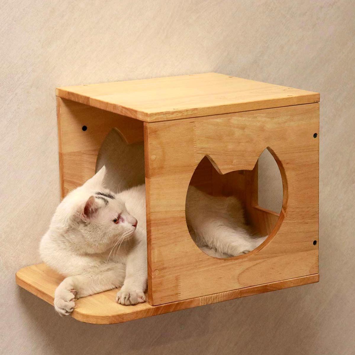 Estantes para gatos PETOMG, estantes para gatos DIY de madera de caucho | Juego de pared para gatos