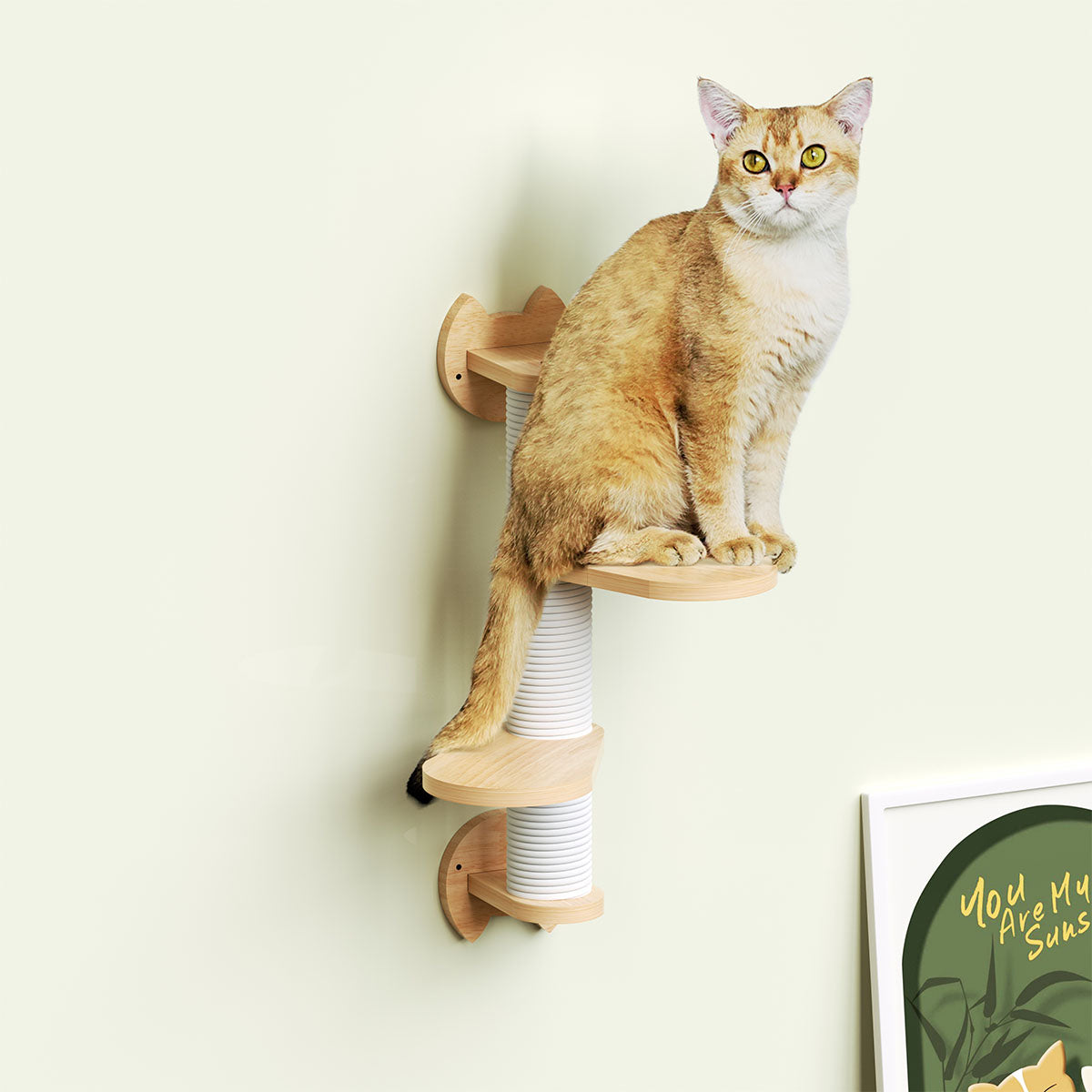 PETOMG Poste rascador para gatos, escalones de pared para gatos, estante para gatos | Madera de caucho