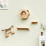 Hexagon Cat Shelf Set(Wall Mounted) | Rubber Wood