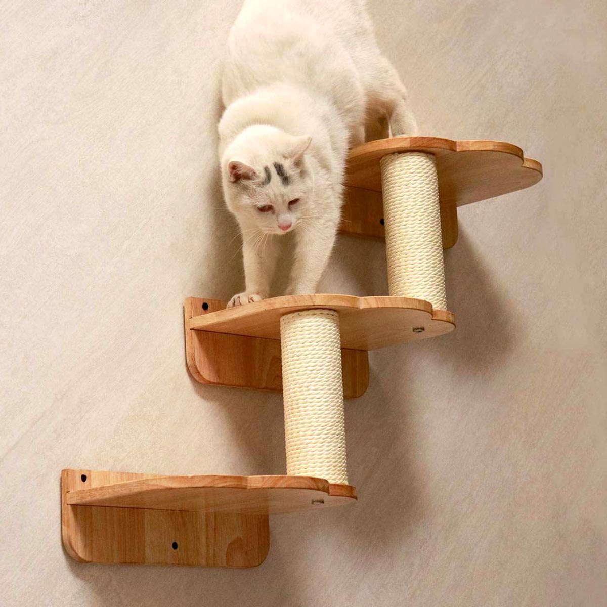 PETOMG Estantes para gatos, estante de pared para gatos DIY, paseos para gatos | Juego de pared para gatos | Madera de caucho