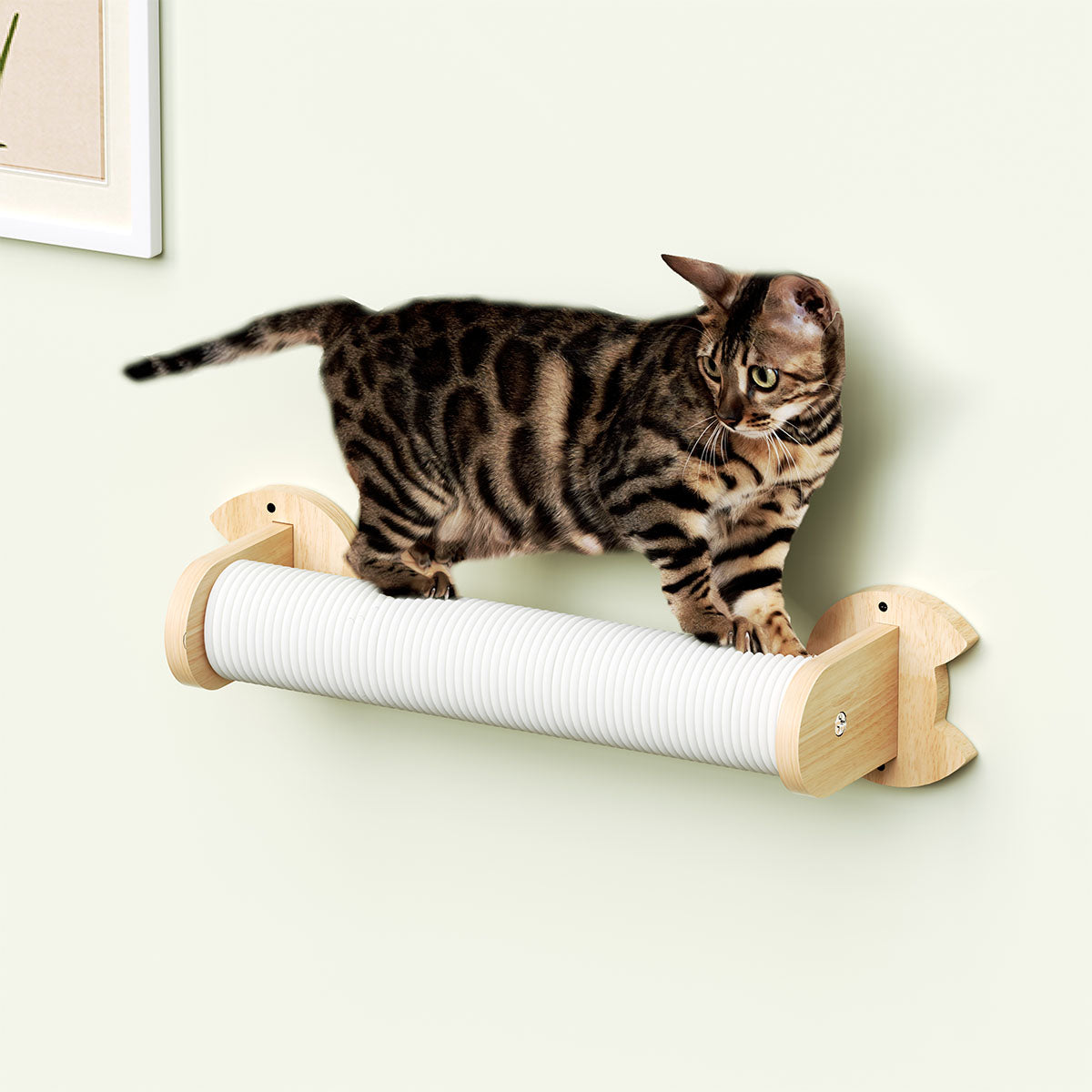 PETOMG Cat Scratching Post, Cat Wall Furniture, Cat Shelf | Rubberwood