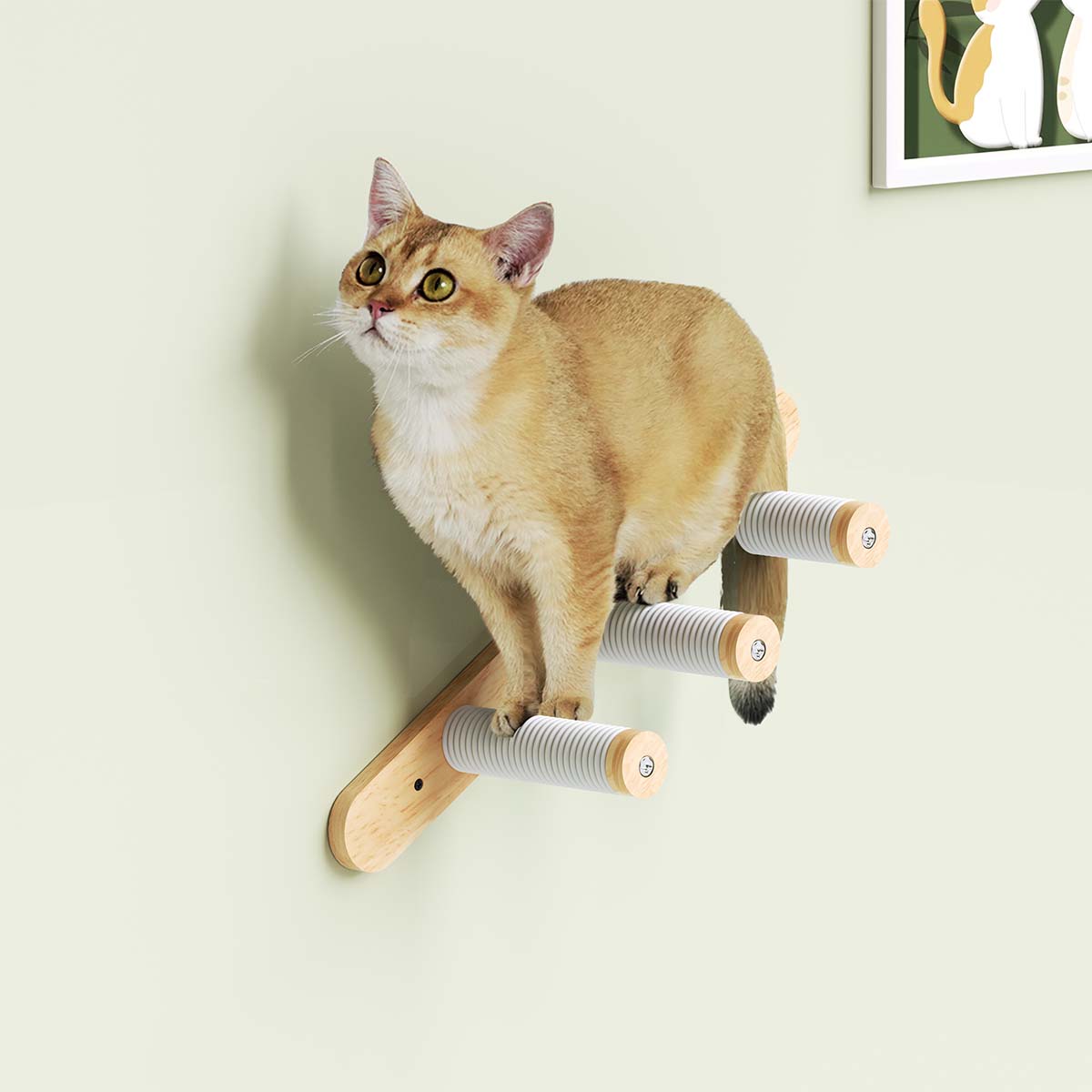 PETOMG Escalones de pared para gatos, estante flotante para gatos, escalera para gatos, rascador para gatos | Madera de caucho