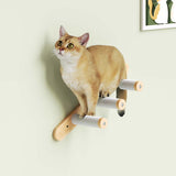 PETOMG Cat Wall Steps, Floating Cat Shelf, Cat Ladder, Cat Scratcher| Rubberwood