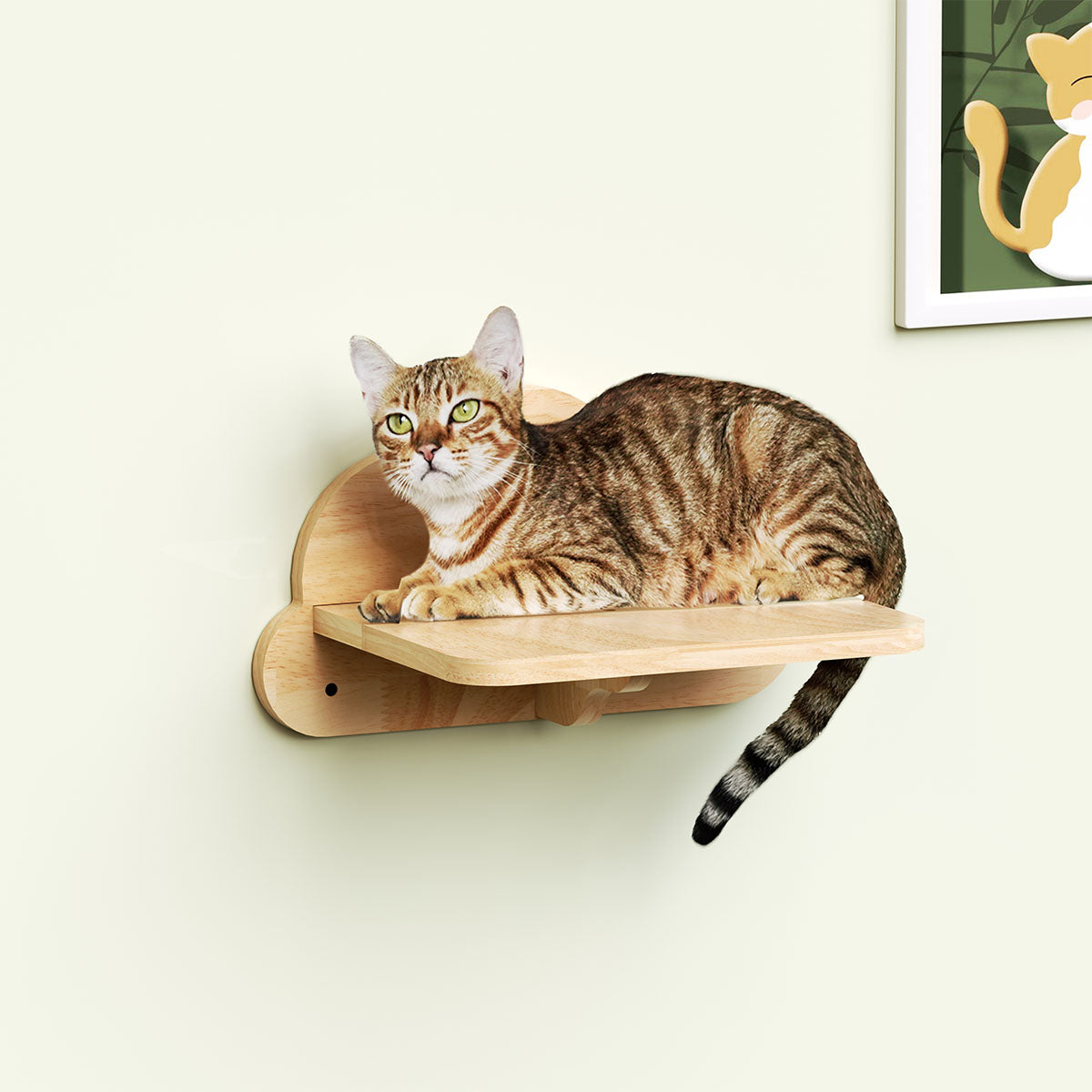 PETOMG Cat Wall Steps, Cat Shelf, Cat Walks, Cat Ladder| Rubberwood