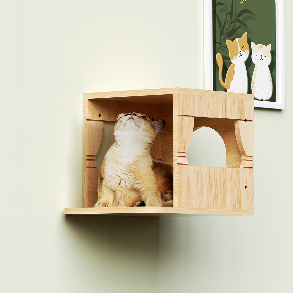 PETOMG Casa de pared para gatos, muebles de pared para gatos, estante de pared para gatos | Madera de caucho