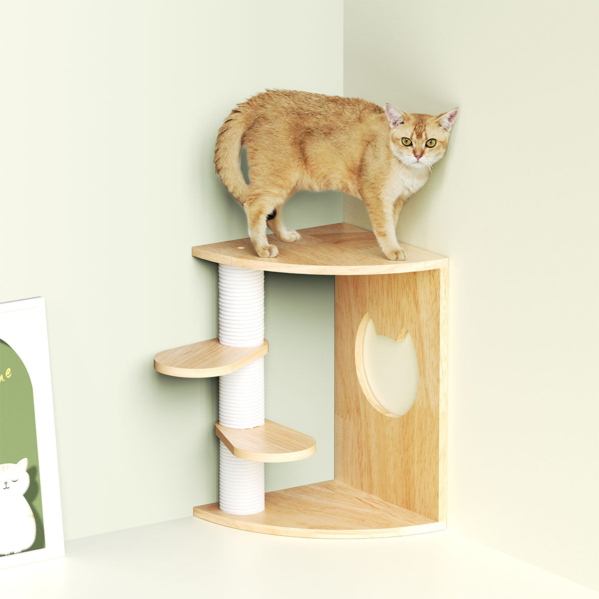 PETOMG Cat Scratching Post, Cat Wall Shelf, Cat Wall Steps | Rubberwood