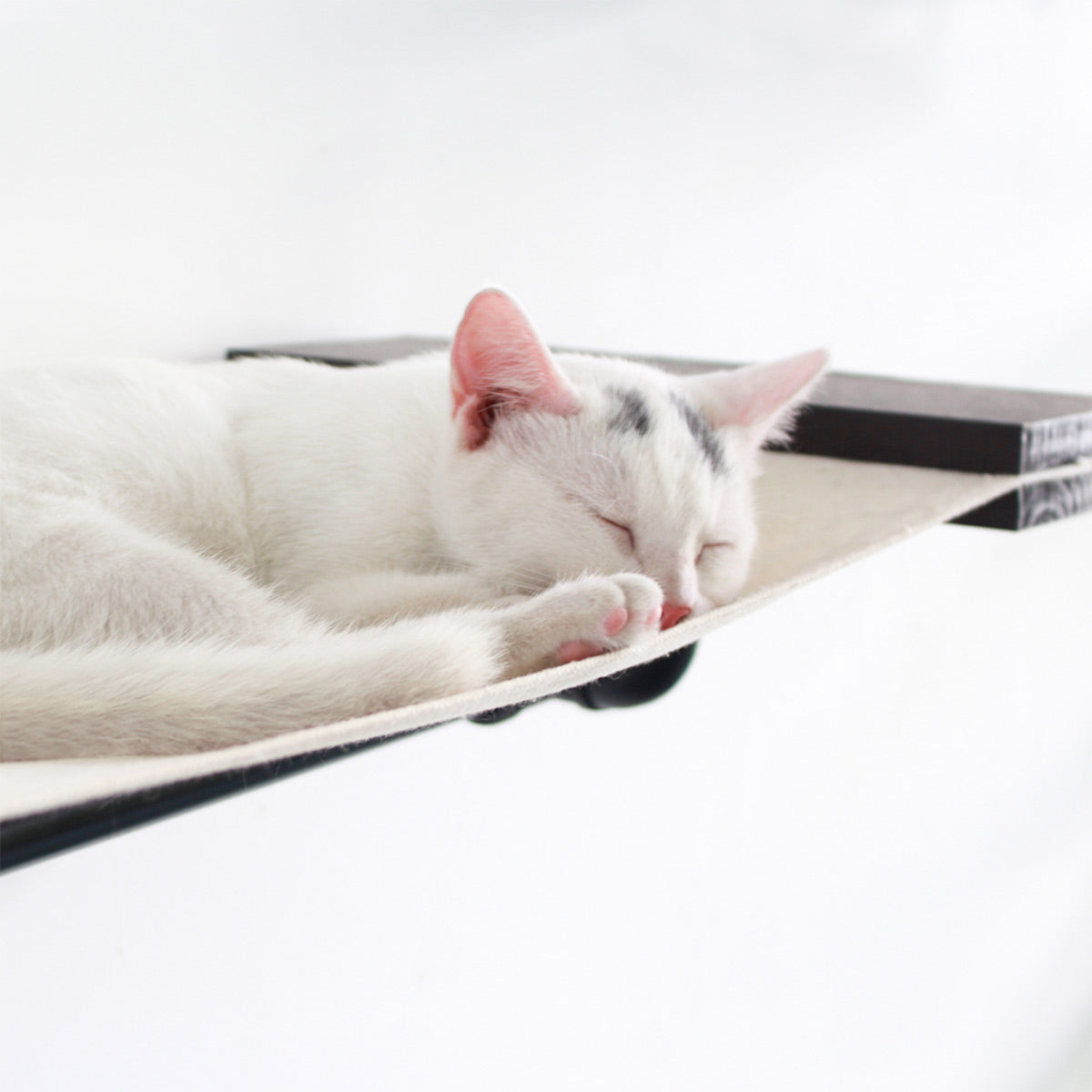 Industrial-Style Wall-Mounted Cat Hammock