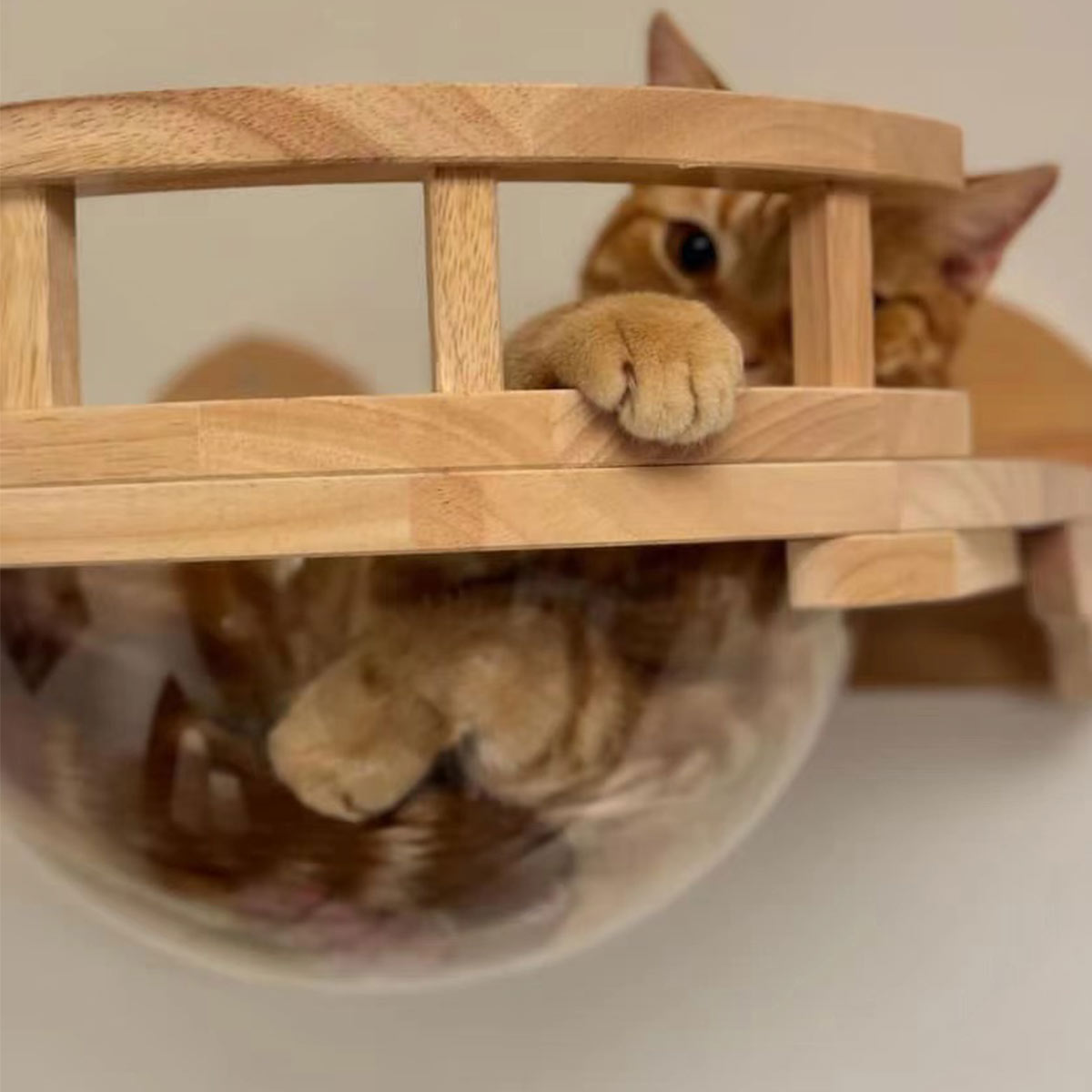 PETOMG Cat Perch, Cat Space Capsule, Cat Bed Furniture, Cat Wall Mounted | Rubber Wood