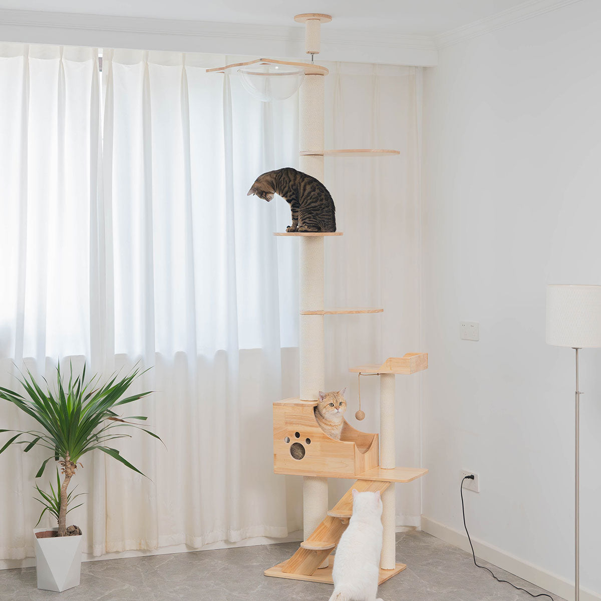 PETOMG Árbol para Gatos de Piso a Techo, Madera de Caucho, sin Perforaciones, Altura Ajustable (230 cm - 280 cm)