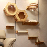 Hexagon Cat Shelf Set, Cat Wall Furniture for Large Cats