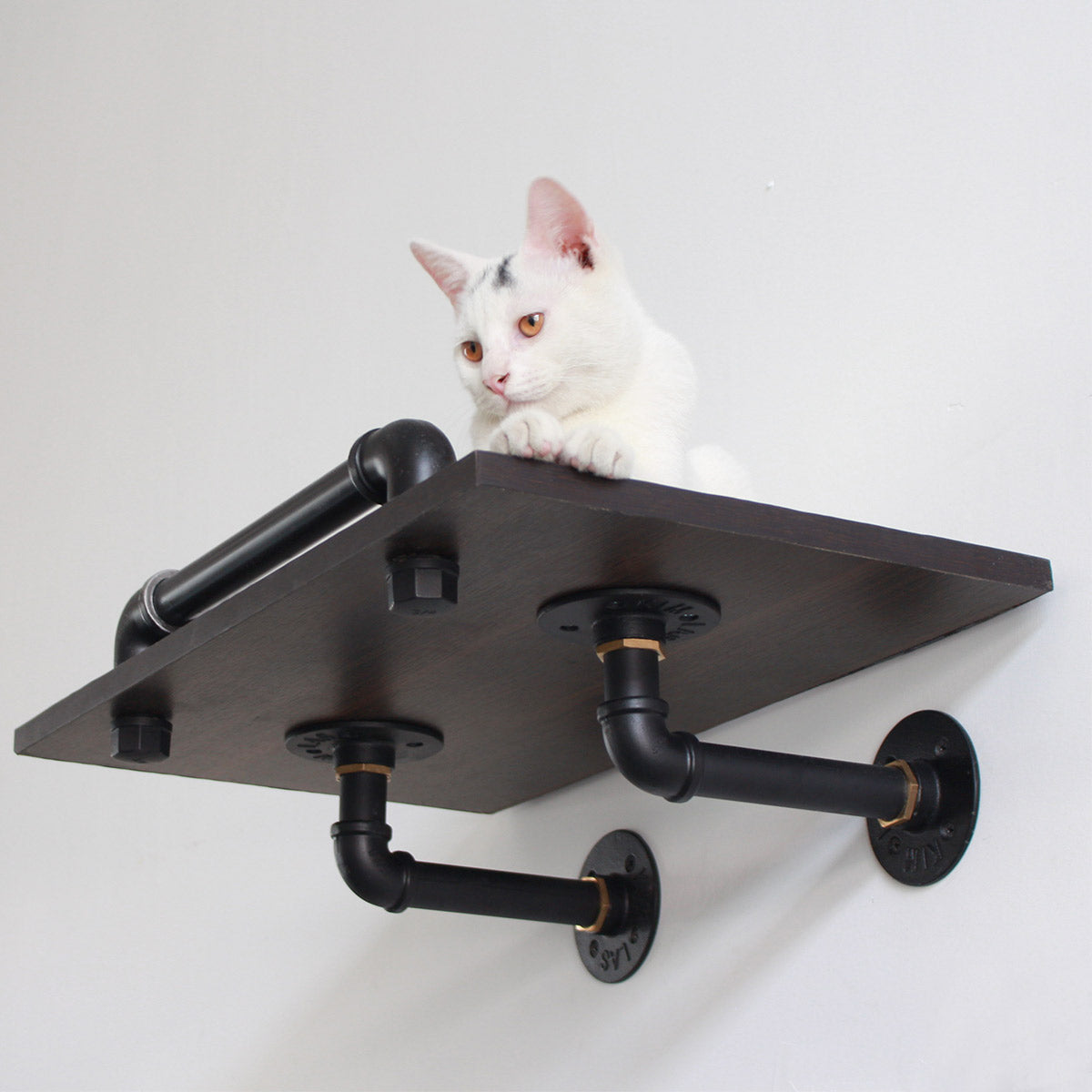 Industrial-Style Wall-Mounted Cat Shelf