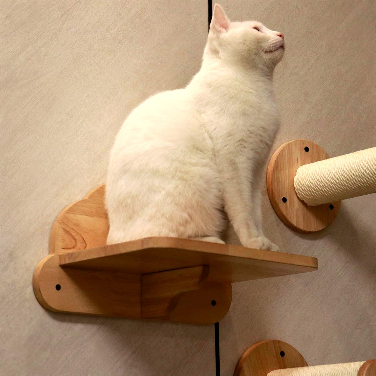 PETOMG Escalones de pared para gatos, estante para gatos, paseos para gatos, escalera para gatos | Madera de caucho