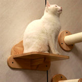 PETOMG Cat Wall Steps, Cat Shelf, Cat Walks, Cat Ladder| Rubberwood