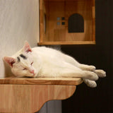 Wall-Mounted Cat Playground Set | Sturdy Sisal Scratching Posts | Cat Wall Shelves | Modular Design for Multi-Cat Homes