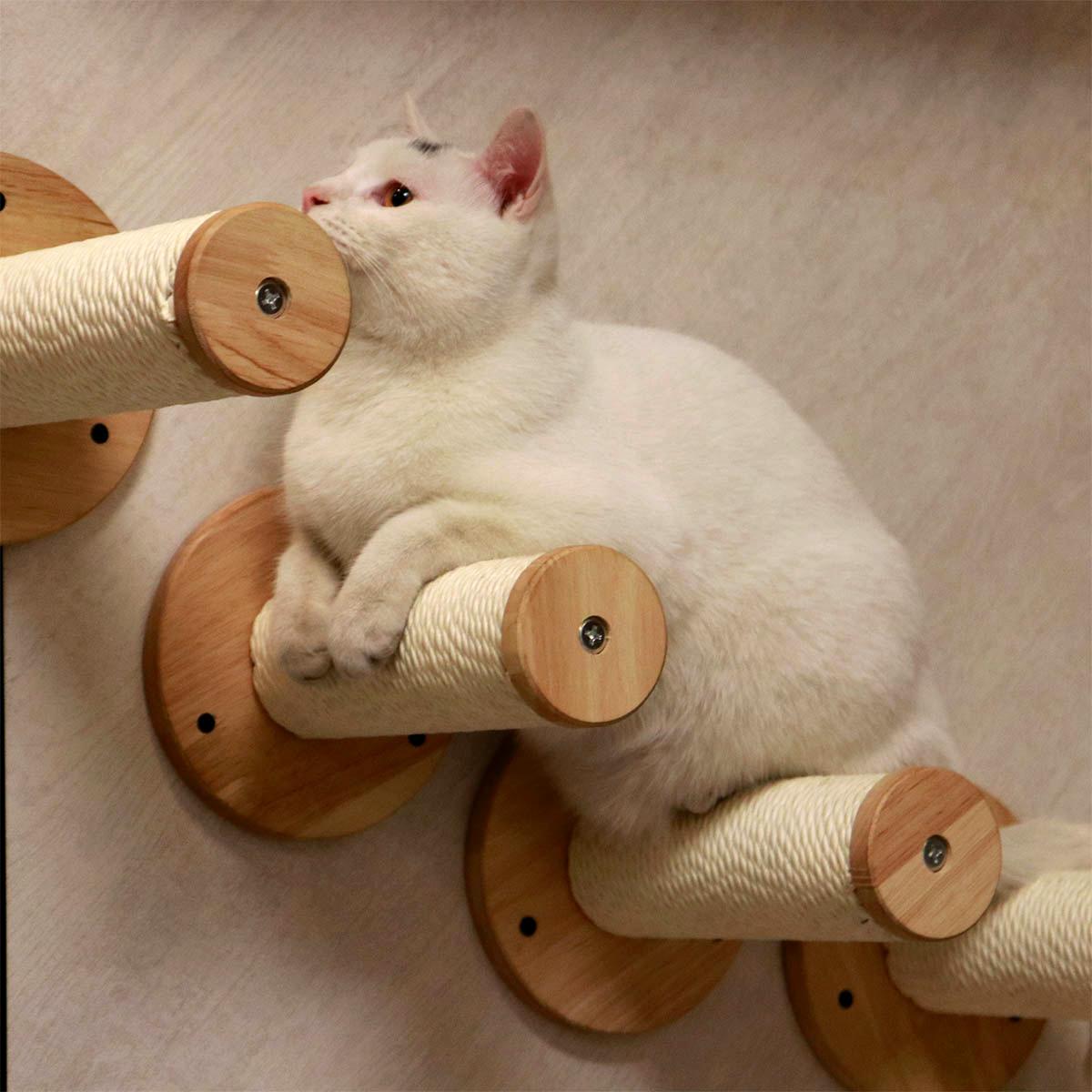 PETOMG Poste rascador para gatos, escalones de pared para gatos, paseos para gatos (2 piezas) | Madera de caucho