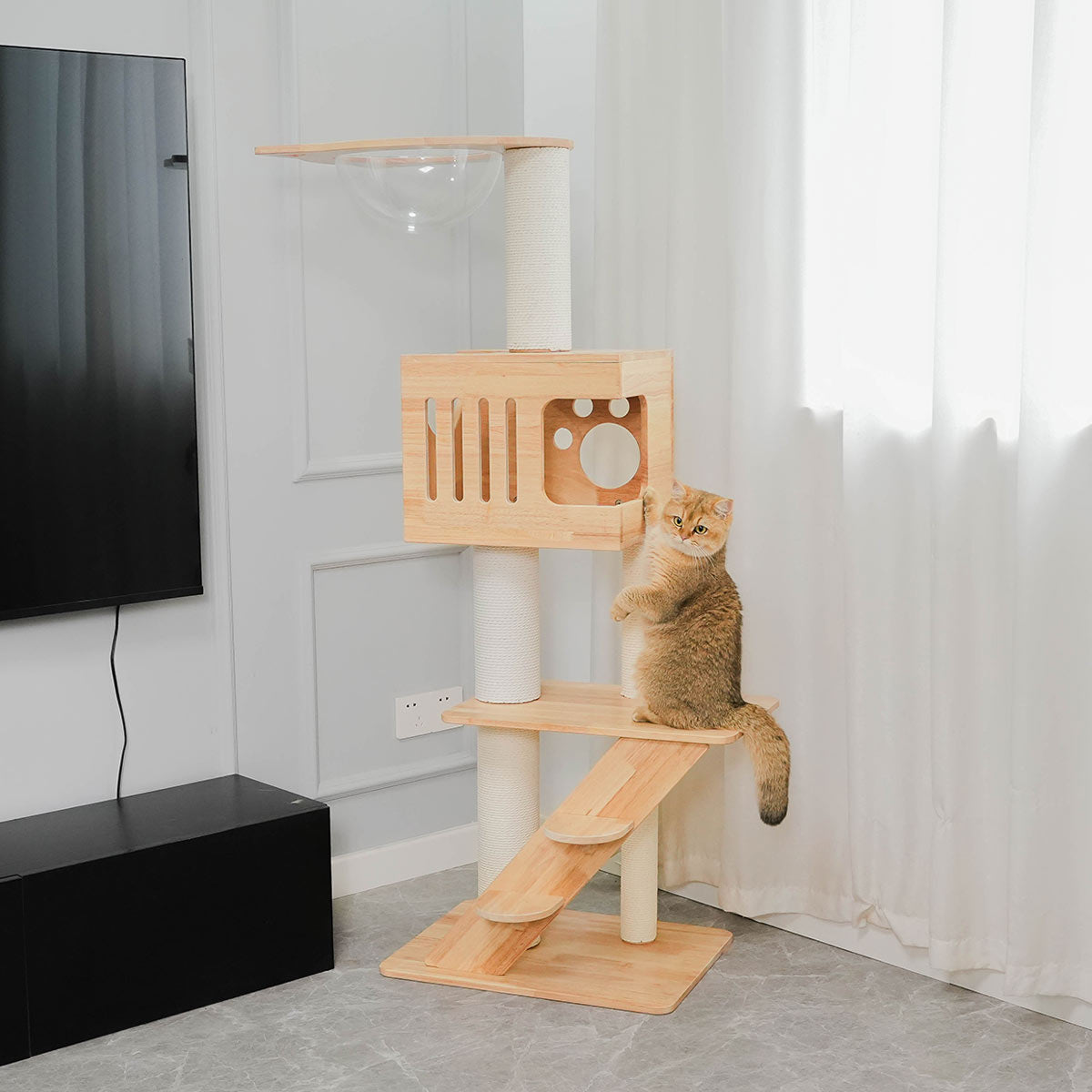 PETOMG Rubber Wood Aesthetic Cat Tree 21.7''*16.5''*57.9''