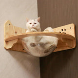 PETOMG Cat Perch, Cat Shelf, Wall Mounted Cat Furniture, Cat Spaceship | Rubberwood