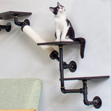 Complete Wall-Mounted Cat Climbing System