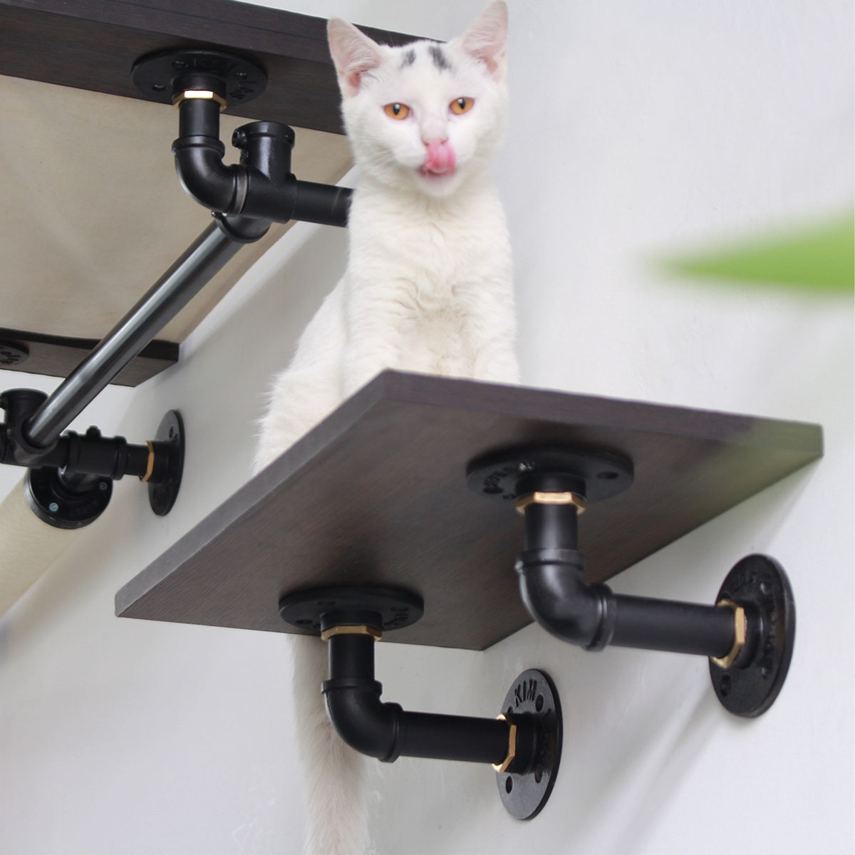 PETOMG Cat Wall Shelves | Modern Minimalist Wall-Mounted Cat Steps