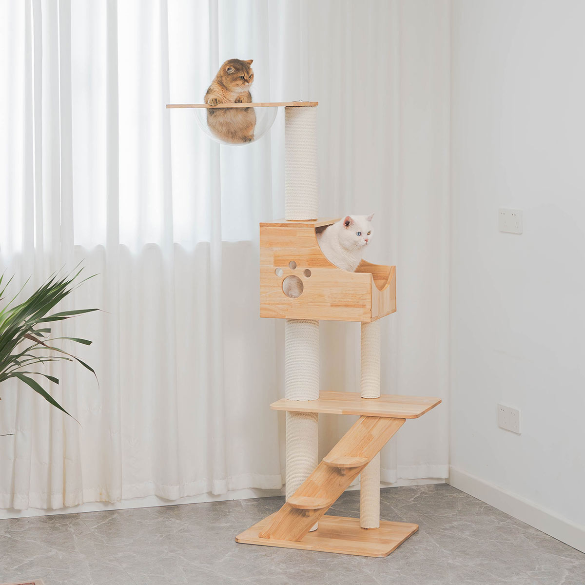 PETOMG Rubber Wood Modern Cat Tree 21.7''*16.5''*57.9''