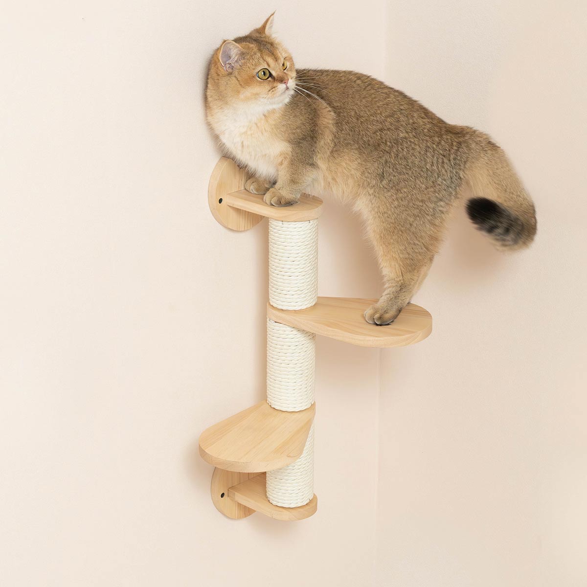 PETOMG Poste rascador para gatos, escalones de pared para gatos, estante para gatos | Madera de caucho