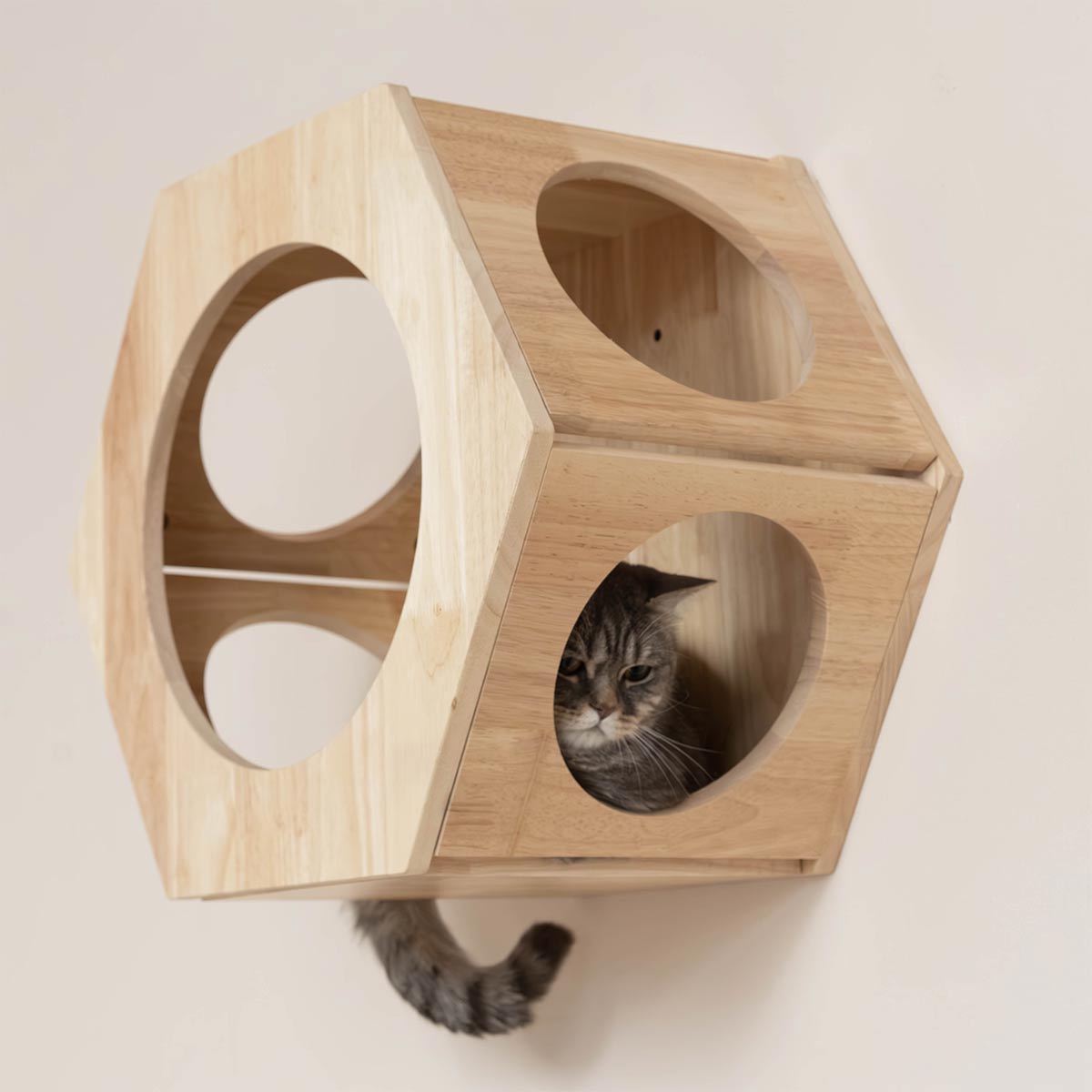 PETOMG Wall Mounted Cat House, Cat Wall Bed, Large Cat Perch| Rubberwood