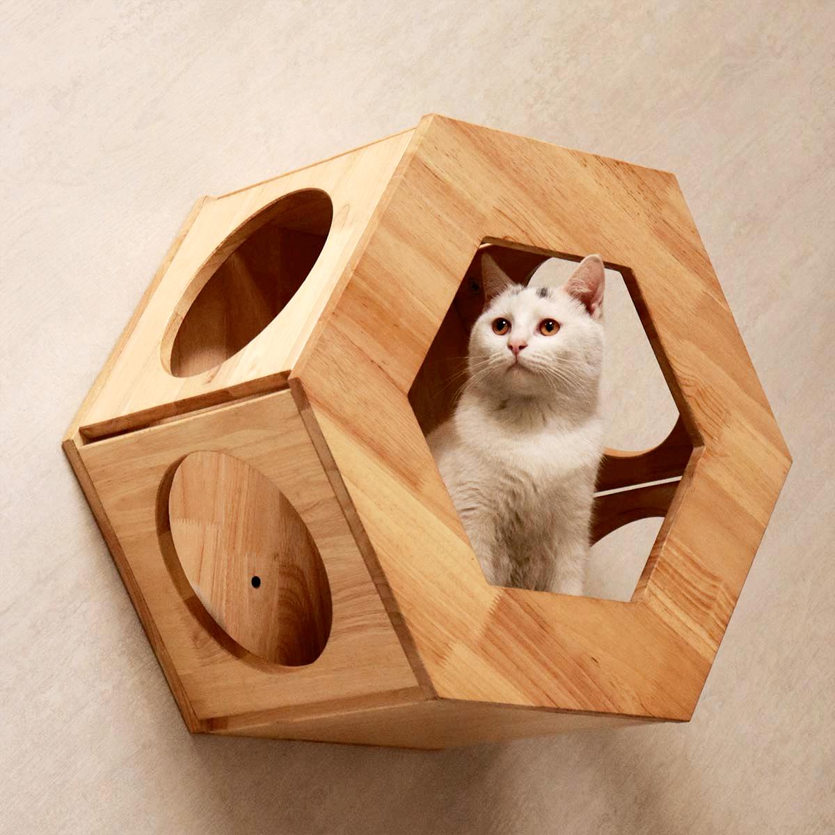 PETOMG Casa para Gatos montada en la Pared, Estante de Pared para Gatos, Cama de Pared Grande para Gatos | Madera de caucho