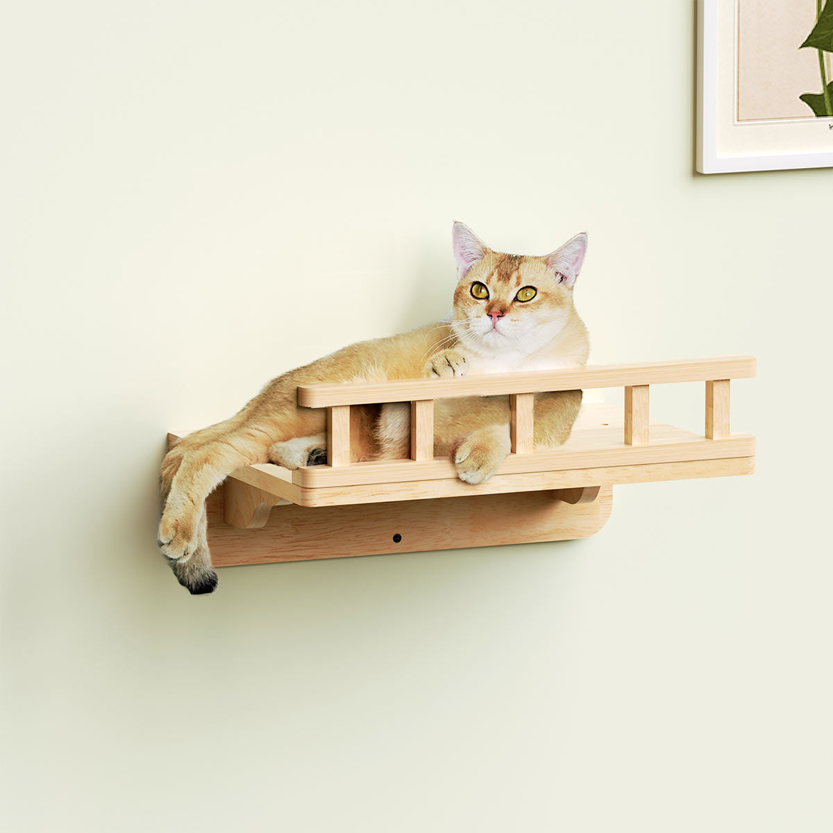 PETOMG Cat Perch, Cat Wall Bed, Cat Shelf Wall | Rubberwood