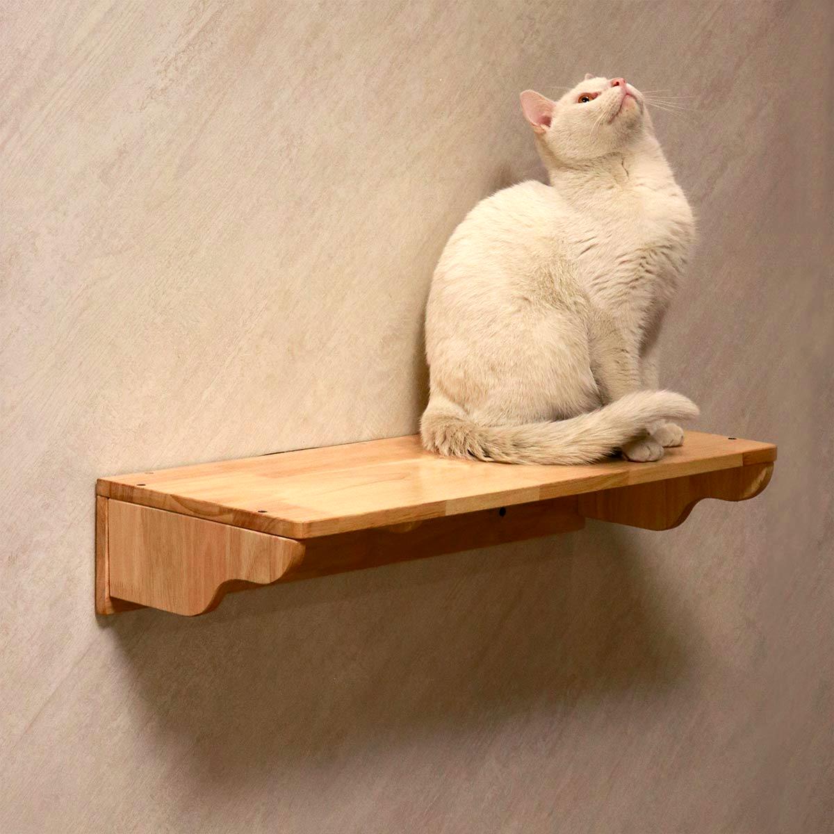 PETOMG Cat Wall Steps, Cat Walks, Cat Ladder, Cat Wall Shelf| Rubberwood