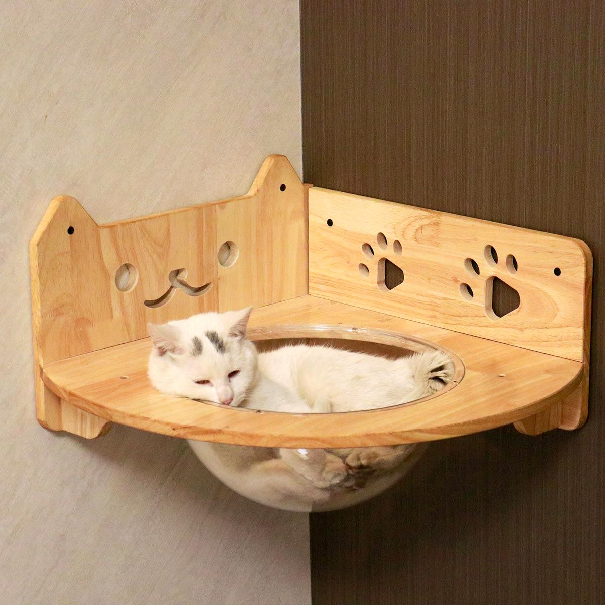 PETOMG Cat Perch, Cat Shelf, Wall Mounted Cat Furniture, Cat Spaceship | Rubberwood