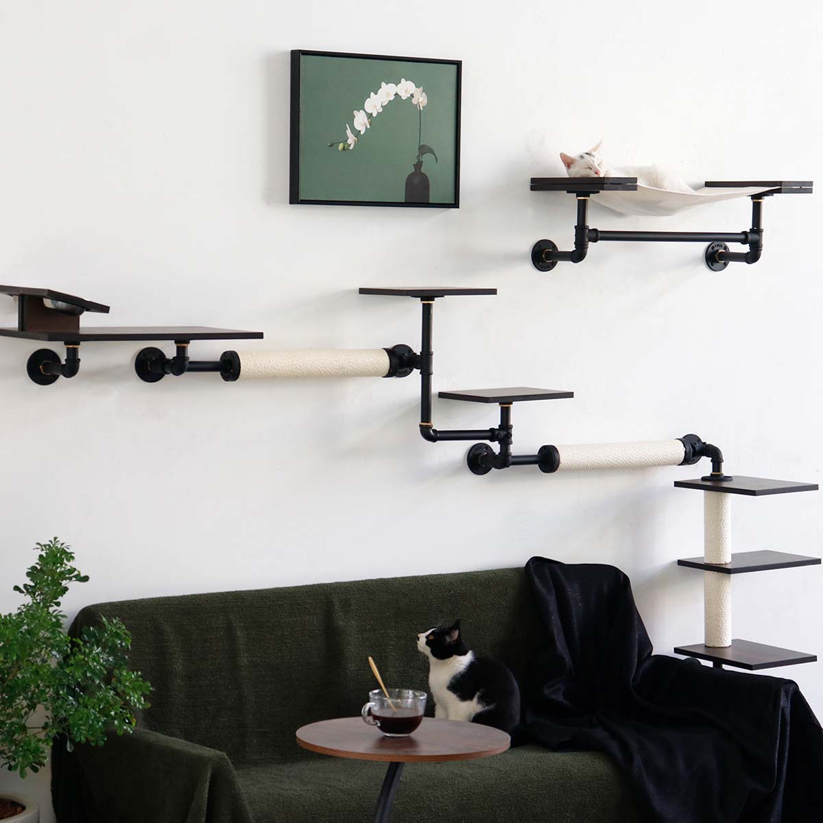 Cat Wall Shelves | Modern Industrial Style | Smoked Rubberwood | Sturdy and Stable