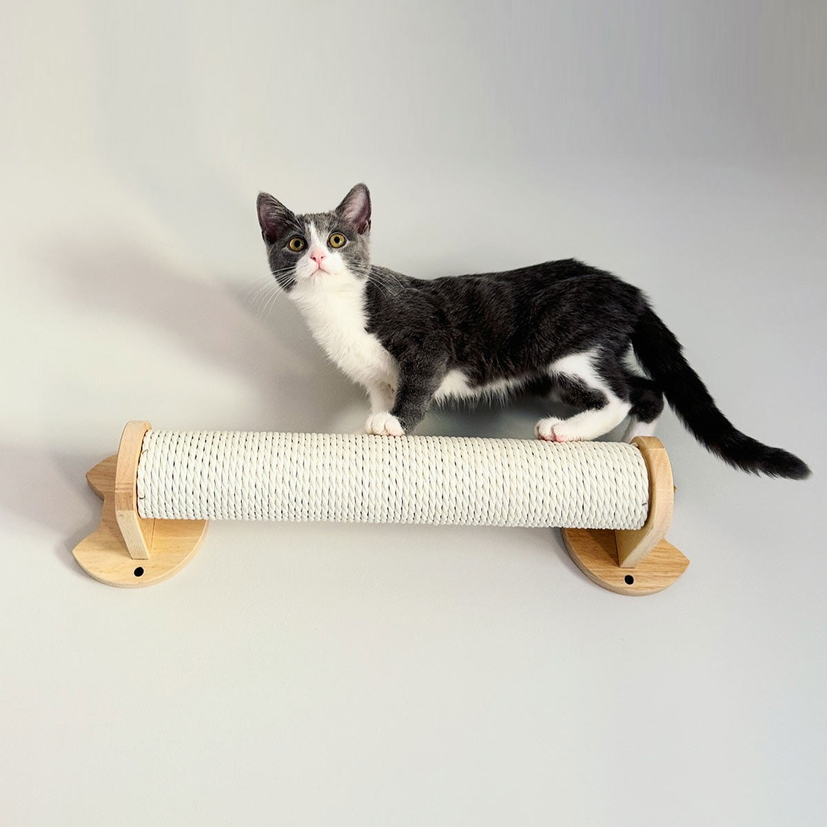 PETOMG Cat Scratching Post, Cat Wall Furniture, Cat Shelf | Rubberwood