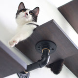 Modern Cat Climbing Wall Set