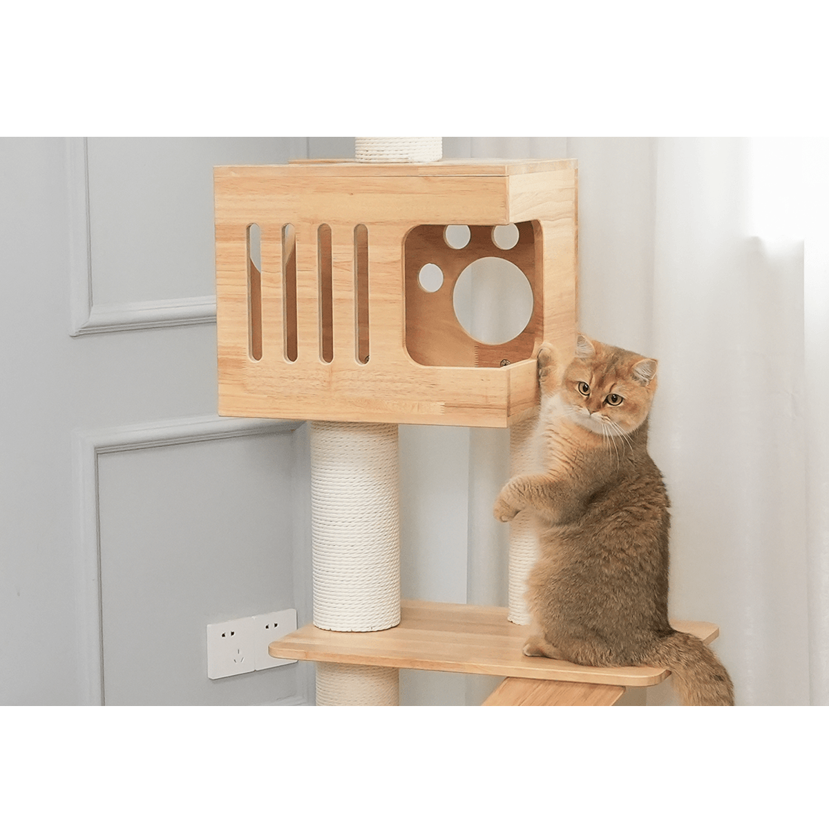 PETOMG Rascador para Gatos de Techo a Suelo, Madera de Caucho, sin Perforaciones, Altura Ajustable (230 cm - 280 cm)