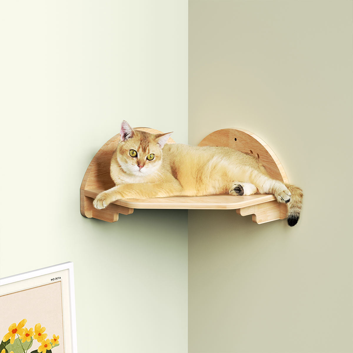 PETOMG Cat Perch, Cat Wall Shelf, Cat Furniture for Wall | Rubberwood