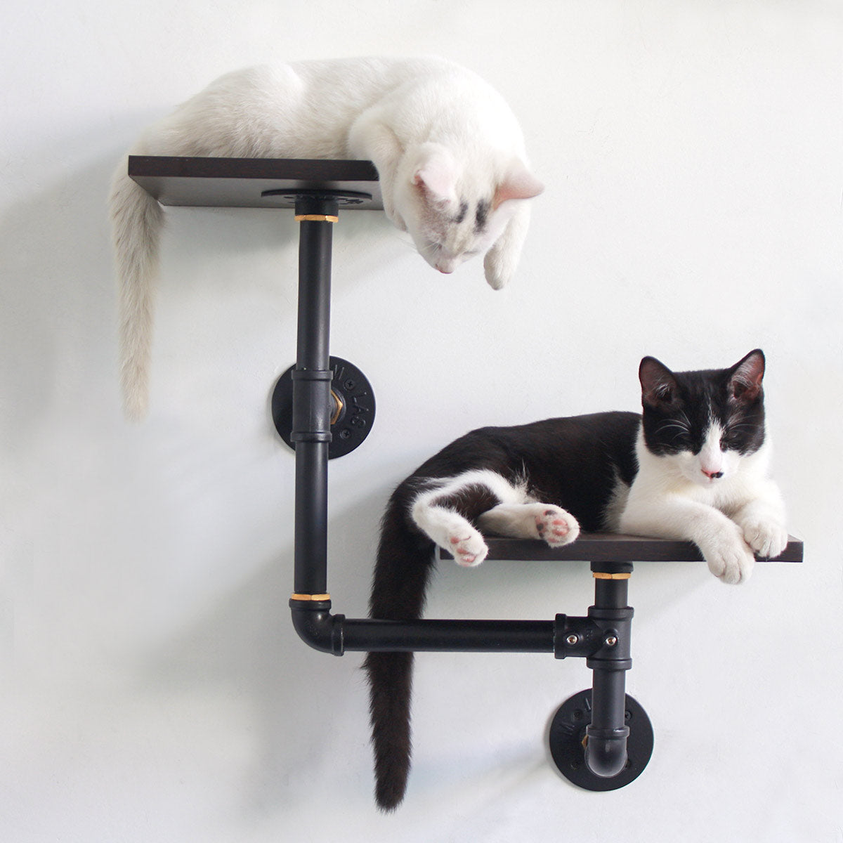 Dual-Level Industrial Cat Climbing Shelves