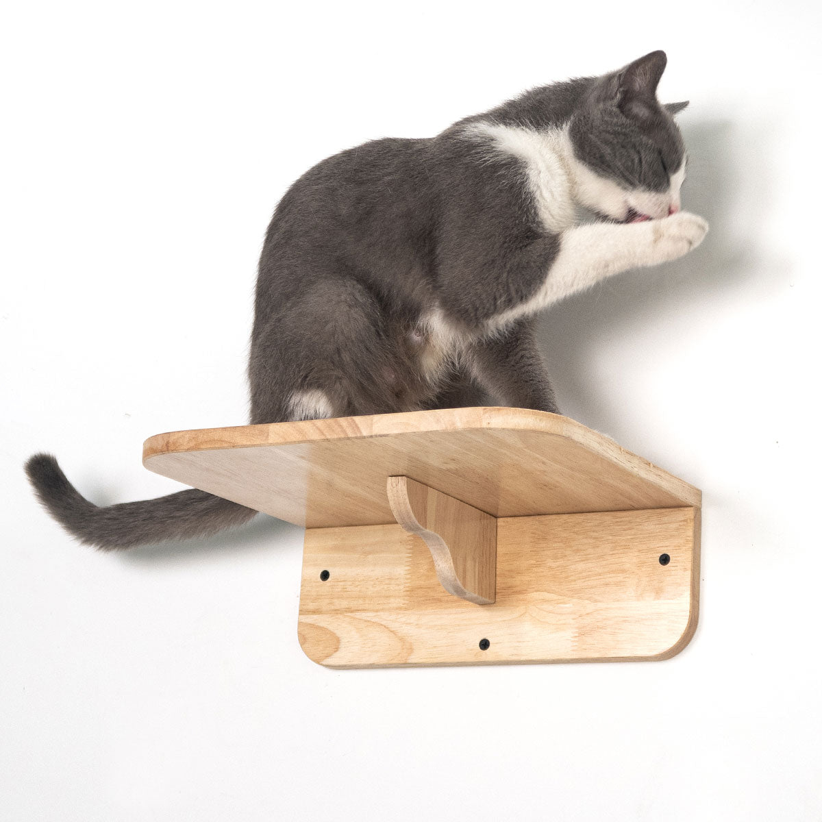 Large Cat Perch, Cat Spacecapsule (Corner Decoration)