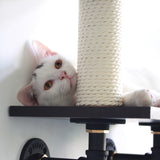 Dual-Level Cat Climbing Shelves with Scratching Post