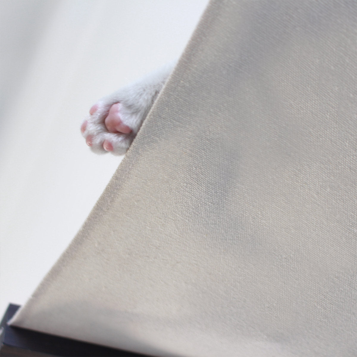 Wall-Mounted Cat Climbing System with Hammock