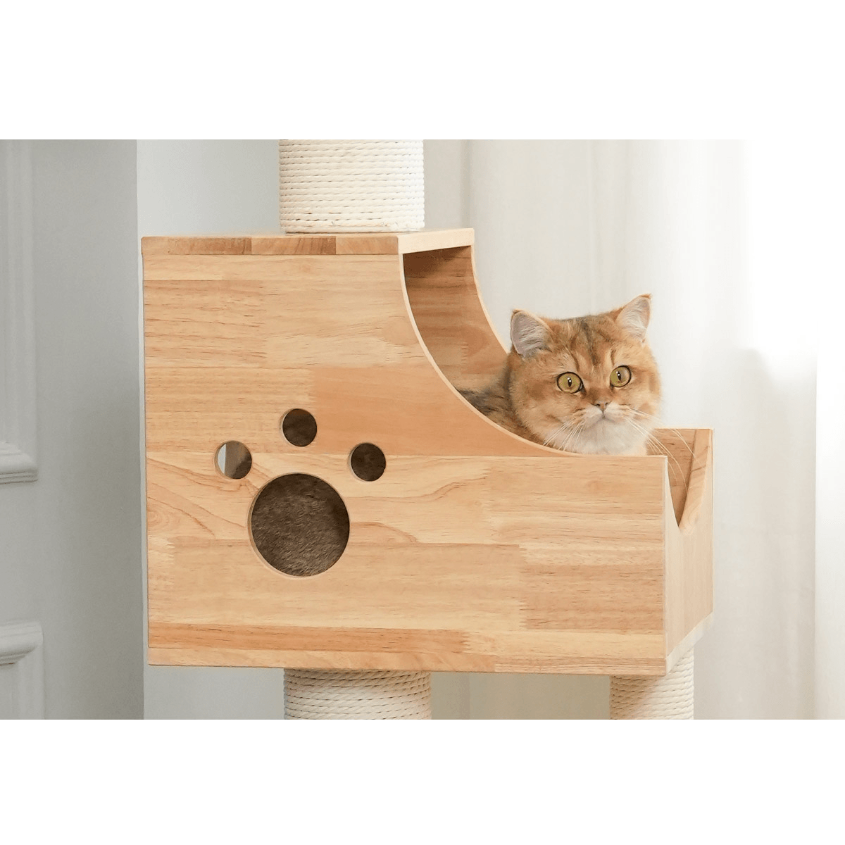 PETOMG Árbol para Gatos de Techo a Suelo de Madera de Goma, sin Perforaciones, Altura Ajustable (230 cm - 280 cm)