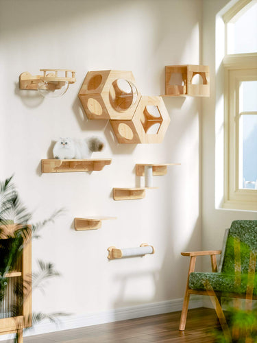 Rubber Wood Cat Tree & Cat Shelf | Eco-friendly Solid Wood | PETOMG ...