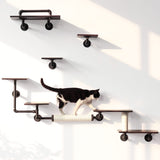 Wall-Mounted Cat Shelves(6PCS) | Eco-Friendly Smoky Rubber Wood