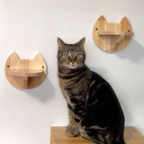 Cat Perch (Shleves) for Wall