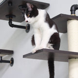 PETOMG Three-Level Wall-Mounted Cat Shelf | Smoky Color